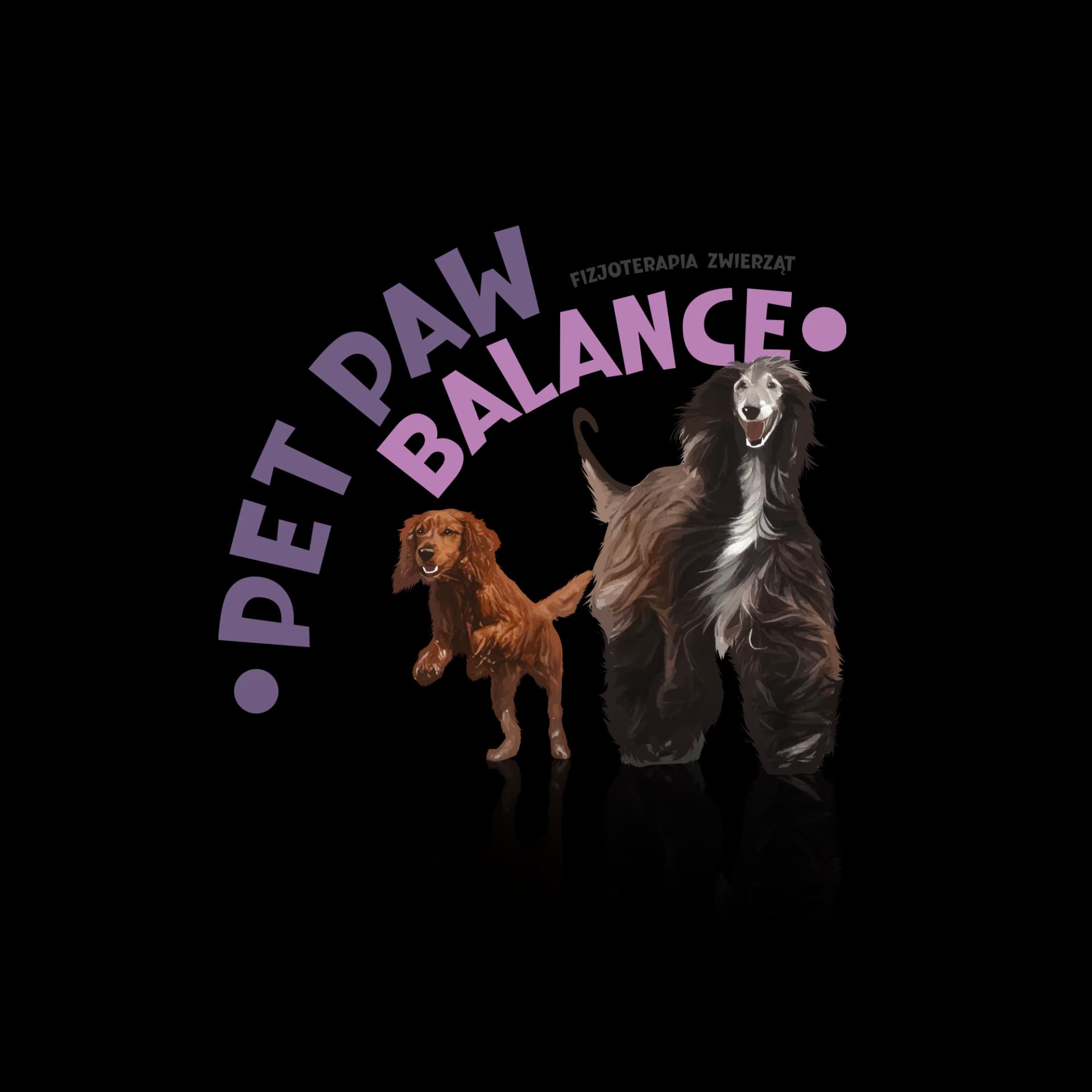 Pet Paw Balance Fizjoterapia Zwierząt