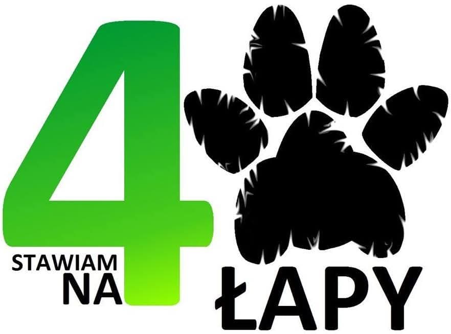 Stawiam na 4 łapy - akupunktura i rehabilitacja zwierząt