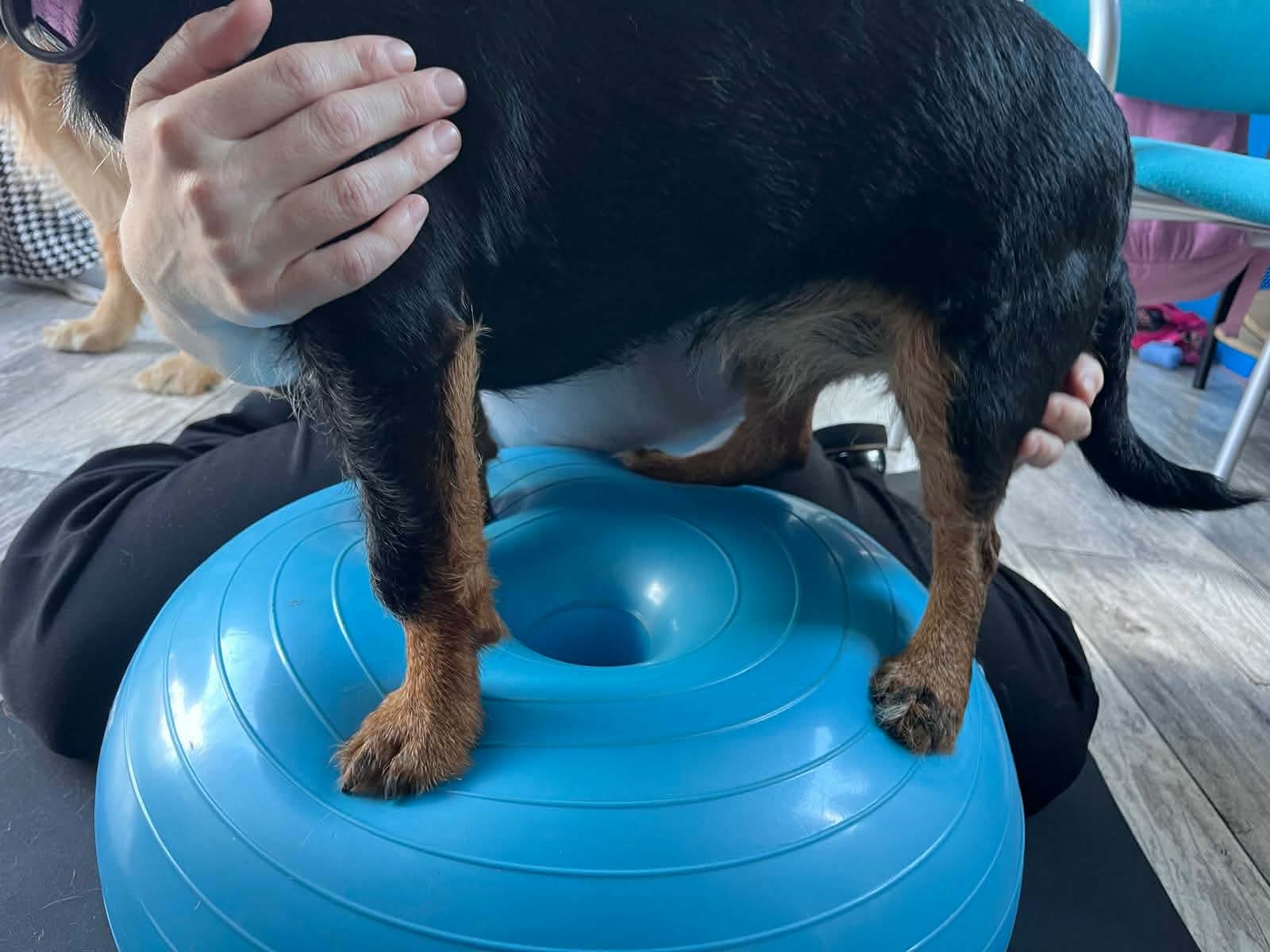 Zdjęcie 2