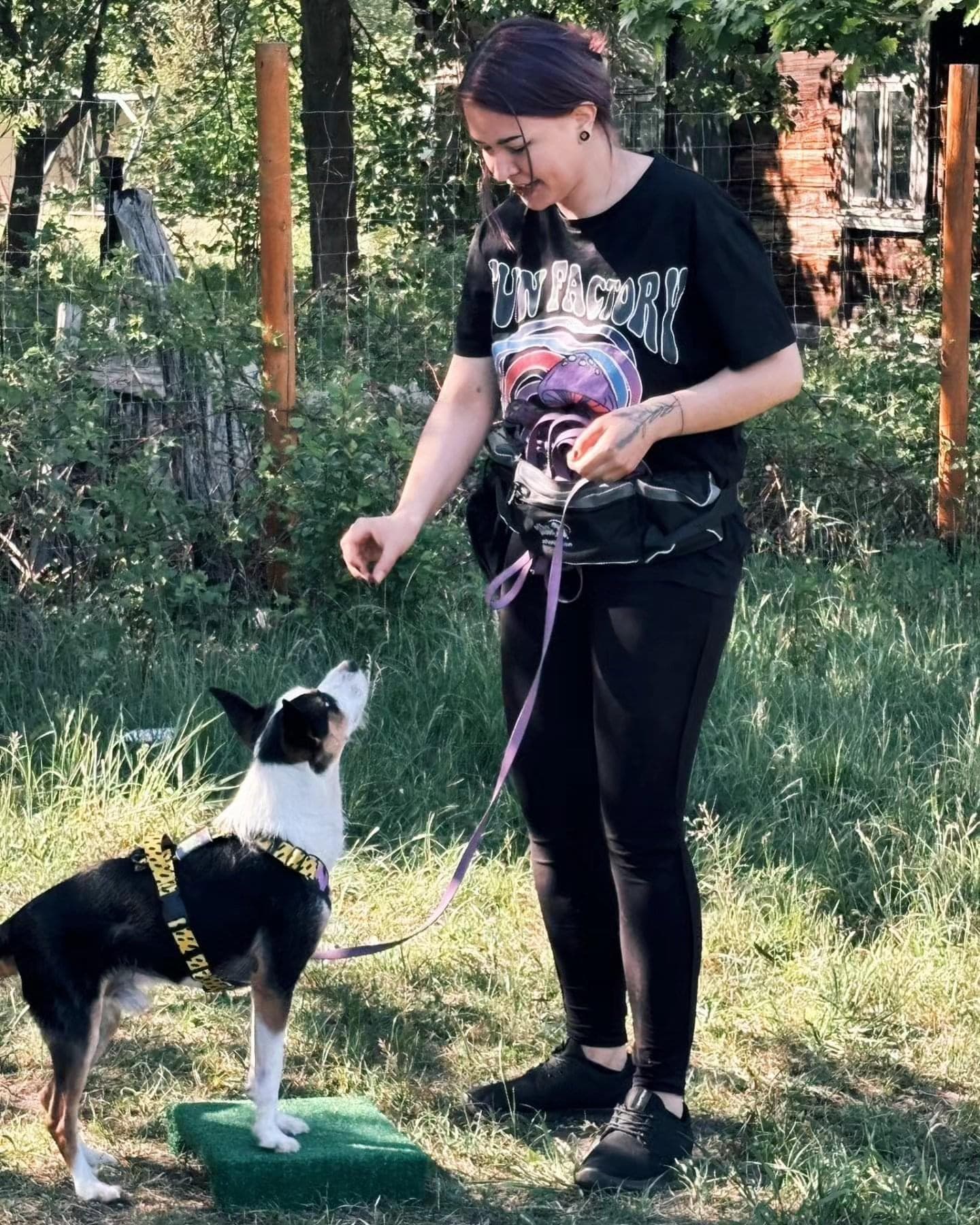 Zdjęcie 3