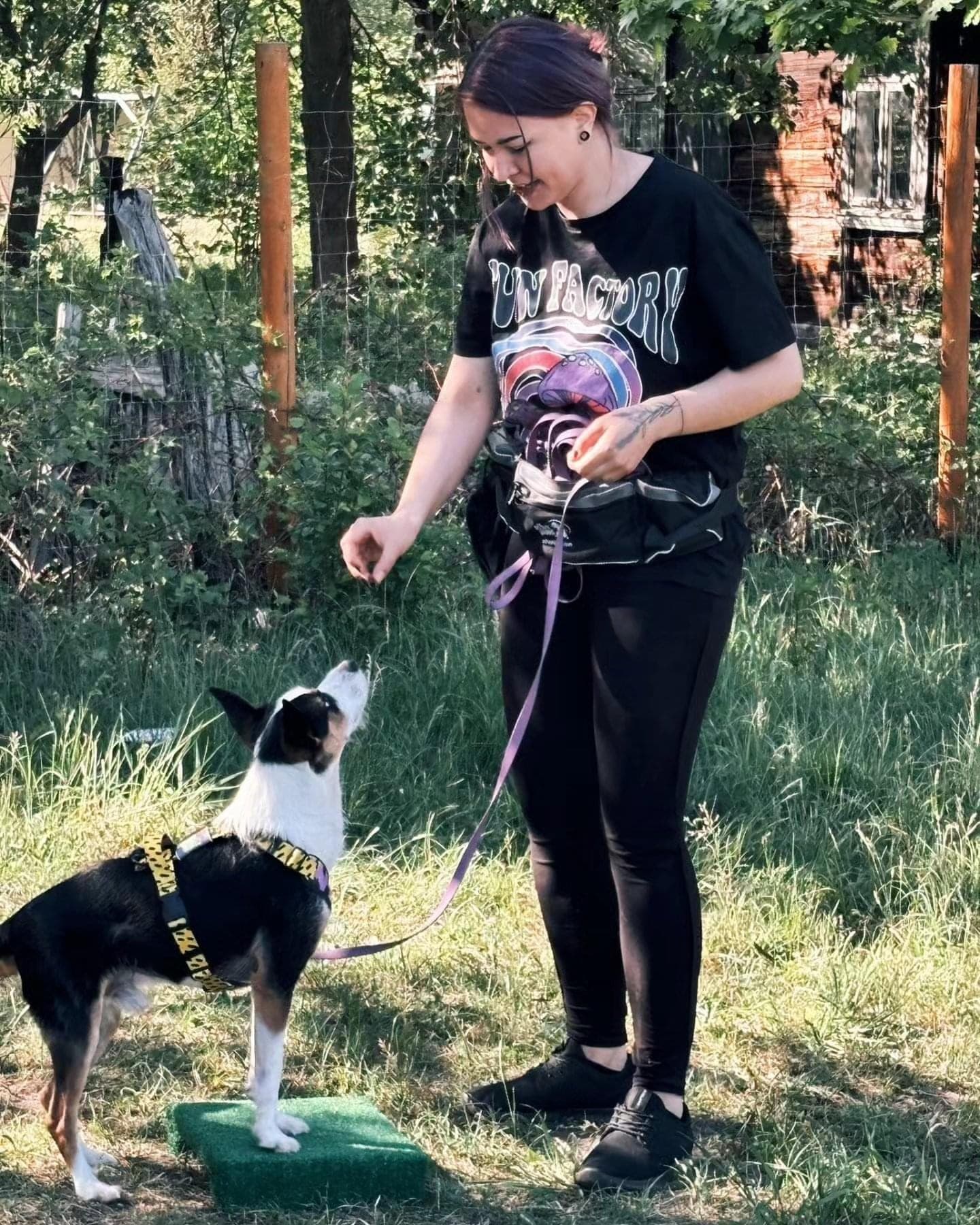 Zdjęcie 3