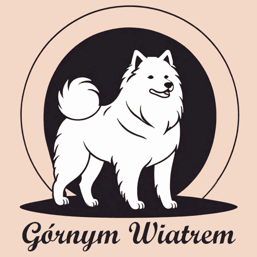 Górnym Wiatrem Berenika Borto