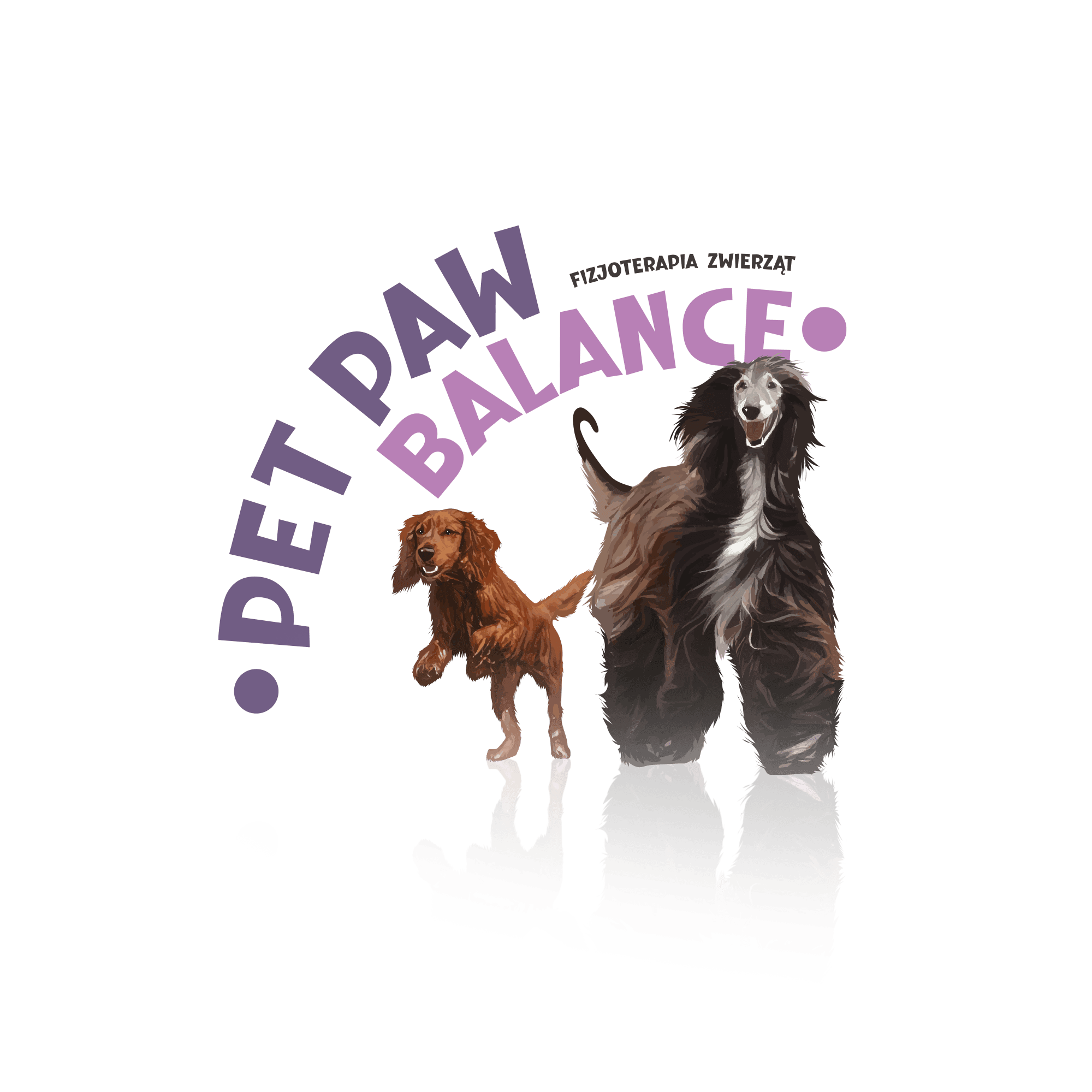 Pet Paw Balance Fizjoterapia Zwierząt