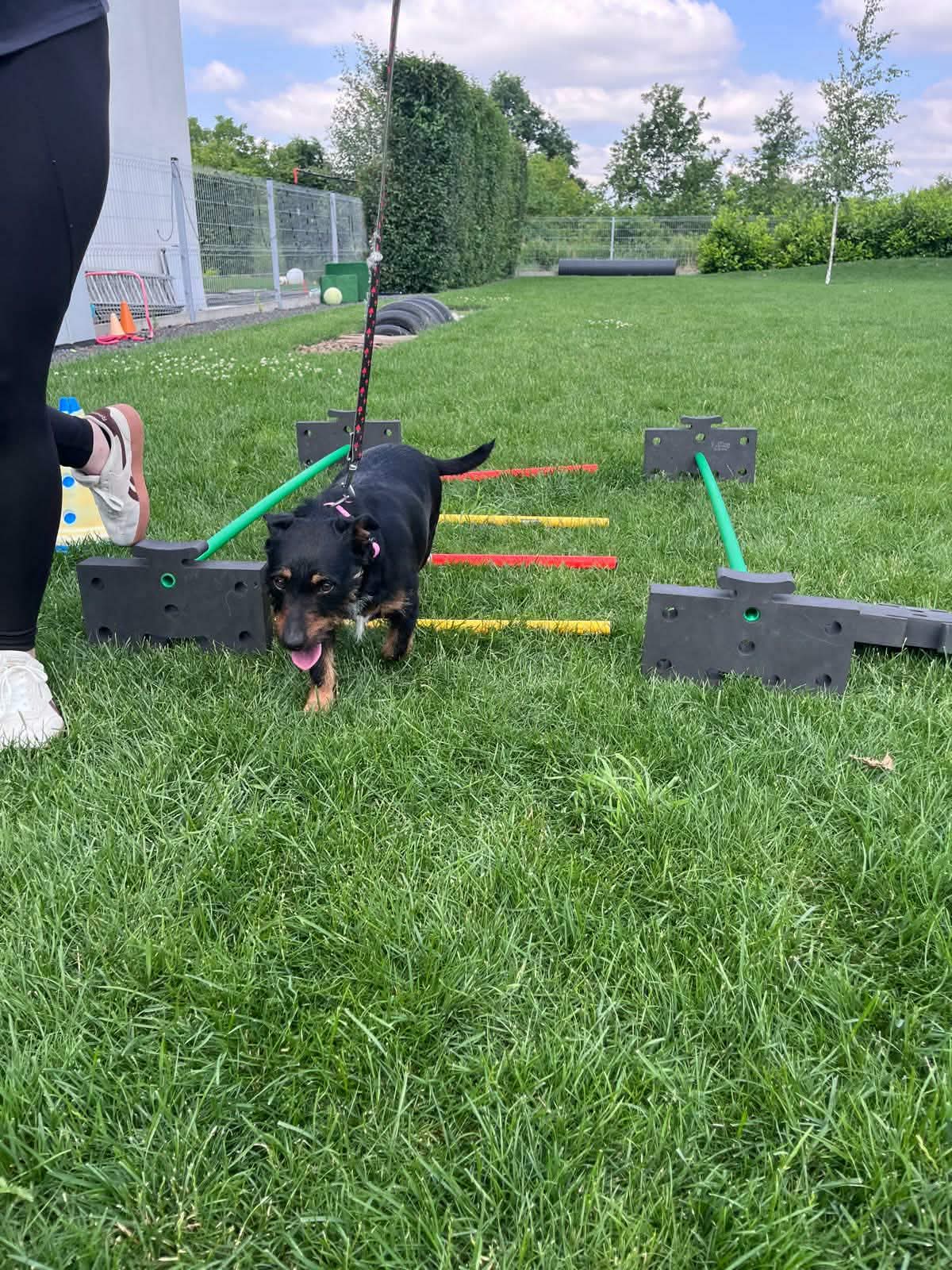 Zdjęcie 4