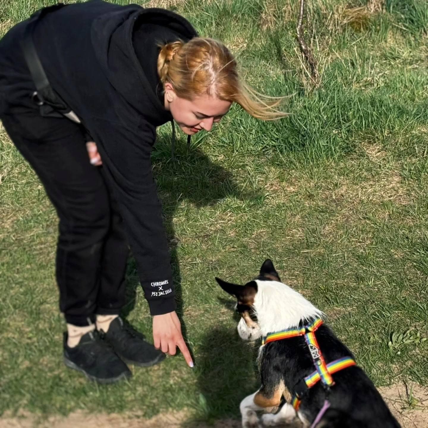 Zdjęcie 1